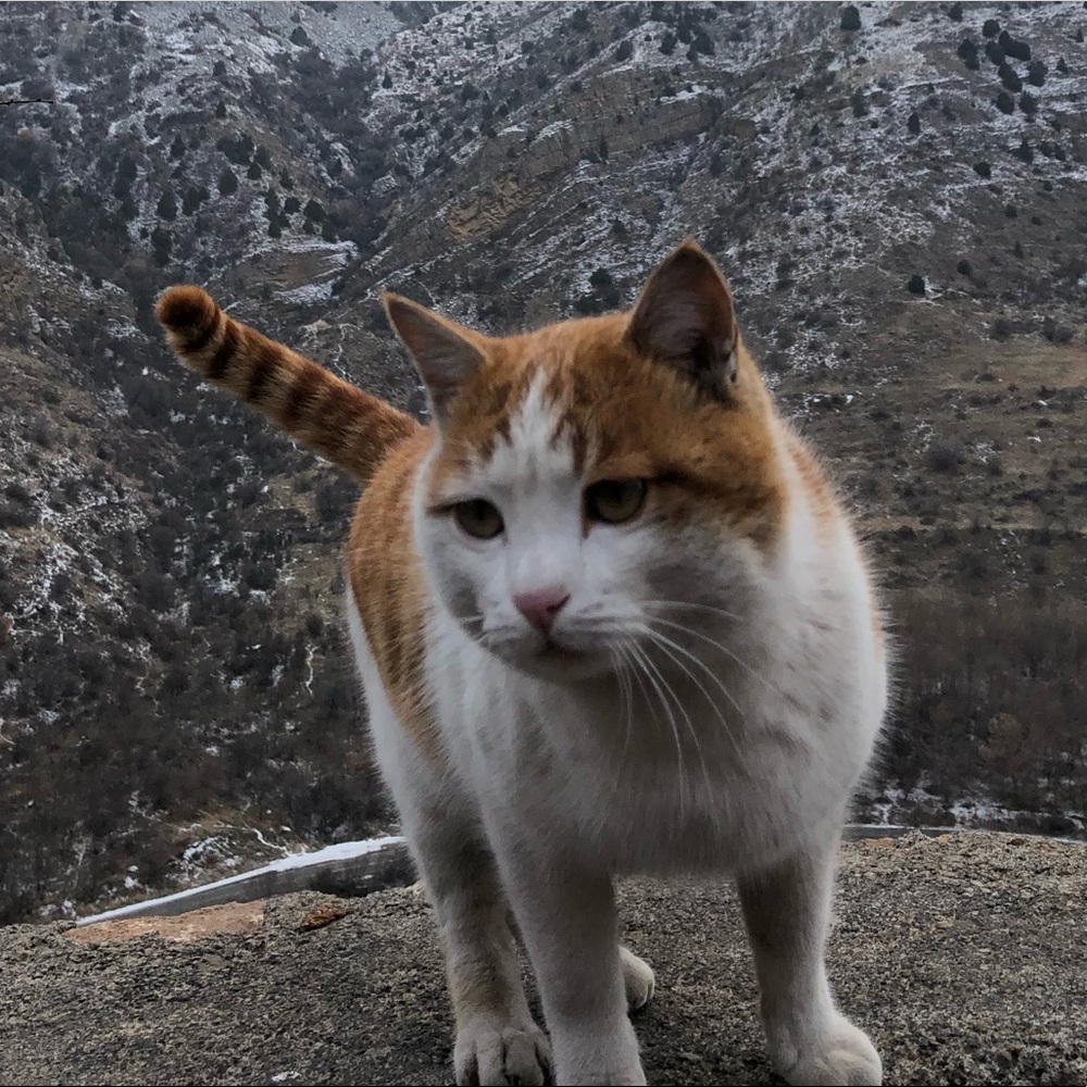 Meet your Posher, Ellie